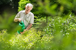 Gardening