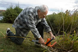 Light Handyman Services and Small Repairs